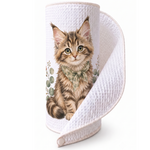 Maine Coon